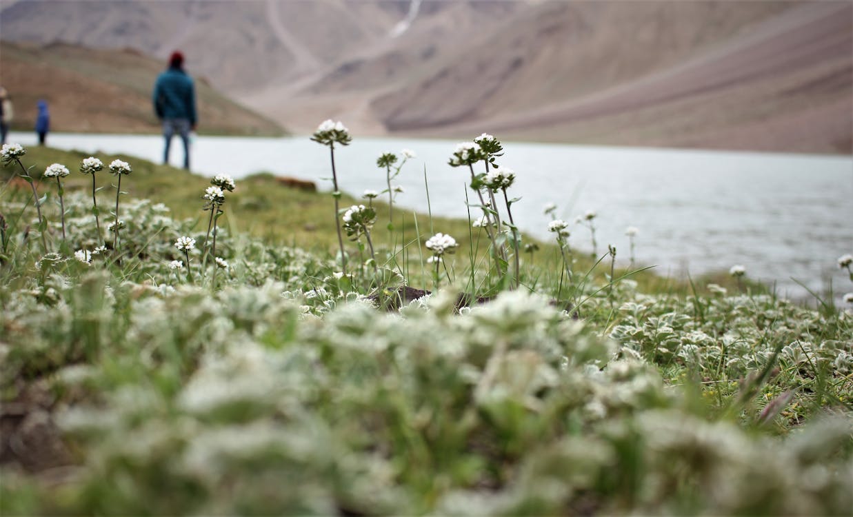 LAHAUL SPITI (12 Nights & 13 Days)